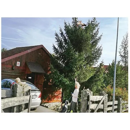 Casa vacanze Holiday Nadrzeczna *